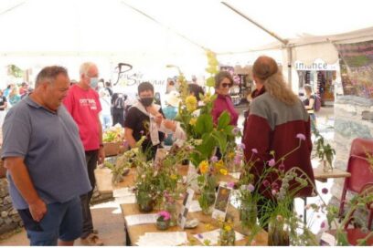 Agrandir l'image, fenêtre modale