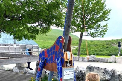 Agrandir l'image, fenêtre modale