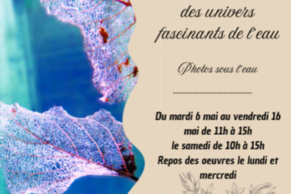Agrandir l'image, fenêtre modale