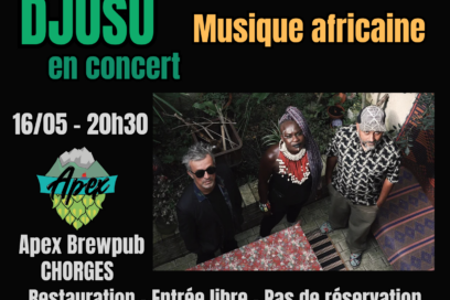 Agrandir l'image, fenêtre modale