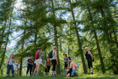 Agrandir l'image, fenêtre modale