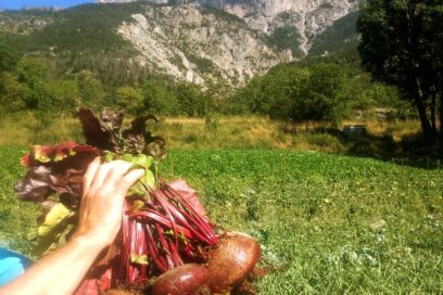 Agrandir l'image, fenêtre modale