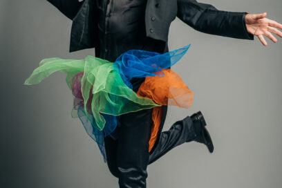 Agrandir l'image, fenêtre modale