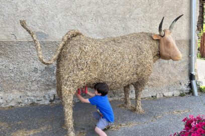 Agrandir l'image, fenêtre modale