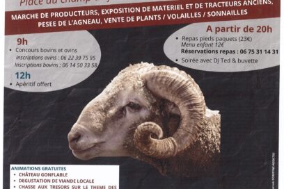 Agrandir l'image, fenêtre modale