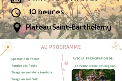 Agrandir l'image, fenêtre modale