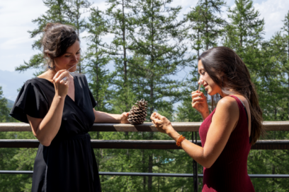 Agrandir l'image, fenêtre modale