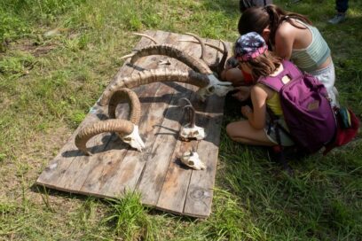 Agrandir l'image, fenêtre modale