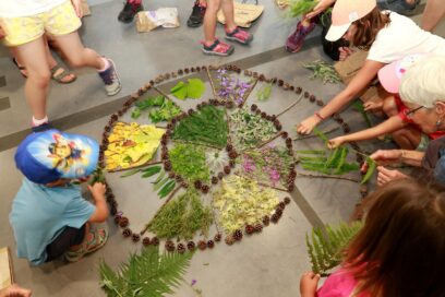 Agrandir l'image, fenêtre modale