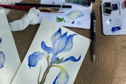 Agrandir l'image, fenêtre modale