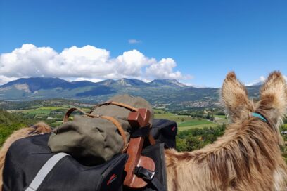 Agrandir l'image, fenêtre modale