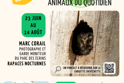 Agrandir l'image, fenêtre modale