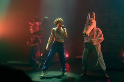 Agrandir l'image, fenêtre modale