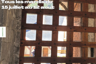 Agrandir l'image, fenêtre modale