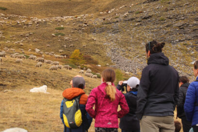 Agrandir l'image, fenêtre modale