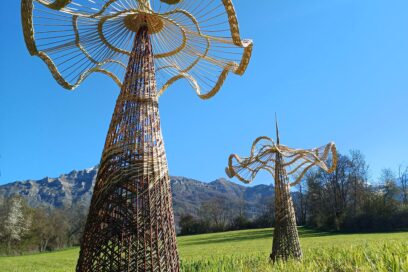 Agrandir l'image, fenêtre modale