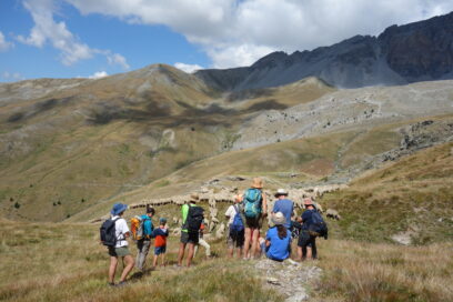 Agrandir l'image, fenêtre modale